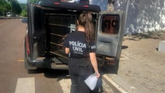 Ação conjunta das forças de segurança prendem suspeito de feminicídio ocorrido na noite de terça-feira