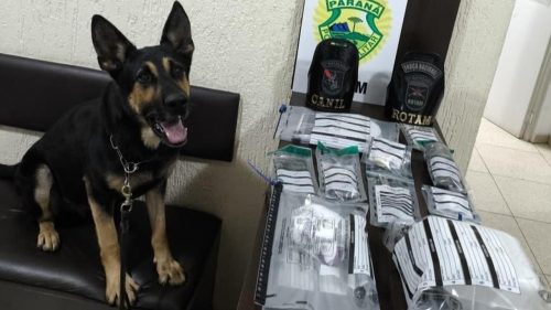 ROTAM prende dois homens e apreende adolescente por tráfico de drogas em Pato Branco Imagem referente a ROTAM prende dois homens e apreende adolescente por tráfico de drogas em Pato Branco