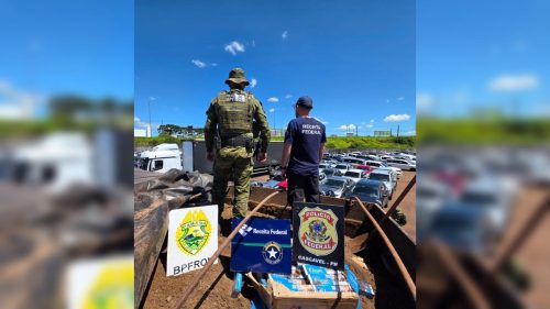 Ação do BPFron e da Polícia Federal apreende 28,5 mil pacotes na BR-277