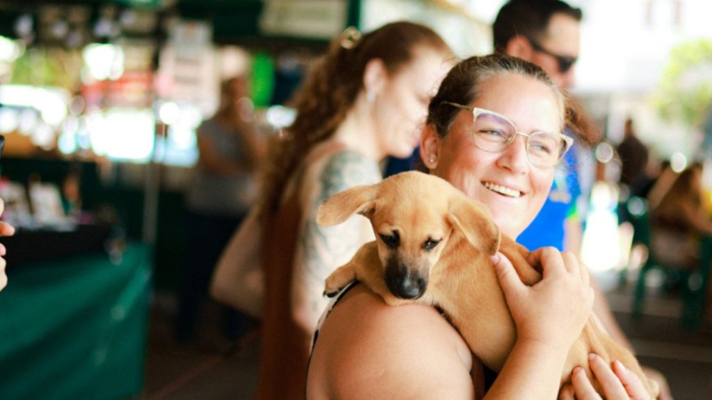 Bloquinho, capoeira, doação de animais e exposição de fotografia são atrações da Feira do Teatro deste domingo