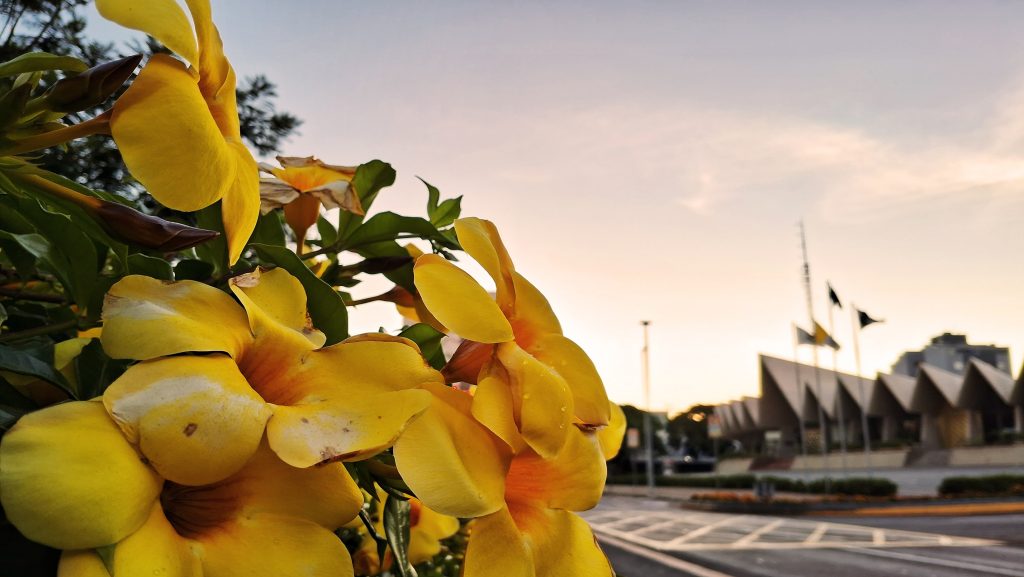 Cascavel terá sábado ensolarado e sem previsão de chuva