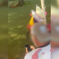 Flagrante: vendedor de algodão doce tenta apagar vídeos de crianças antes de ser detido em Cascavel Imagem referente a Flagrante: vendedor de algodão doce tenta apagar vídeos de crianças antes de ser detido em Cascavel