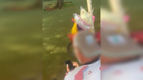 Flagrante: vendedor de algodão doce tenta apagar vídeos de crianças antes de ser detido em Cascavel Flagrante: vendedor de algodão doce tenta apagar vídeos de crianças antes de ser detido em Cascavel