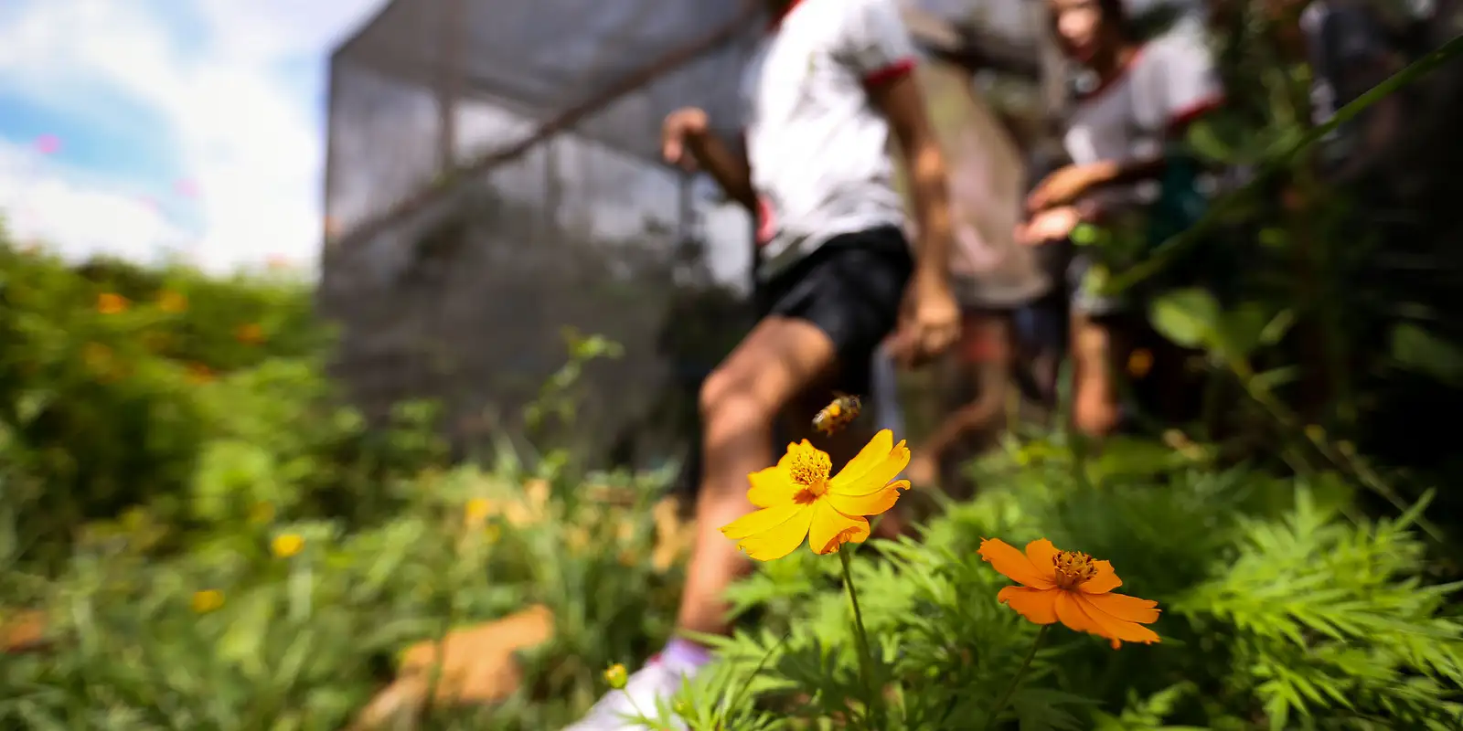 Dia da Educação Ambiental destaca iniciativas de conscientização Imagem referente a Dia da Educação Ambiental destaca iniciativas de conscientização