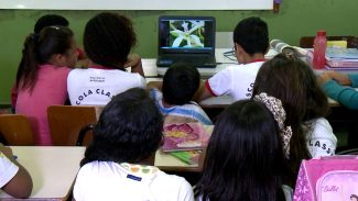 TV Brasil: racismo na escola é tema do Caminhos da Reportagem