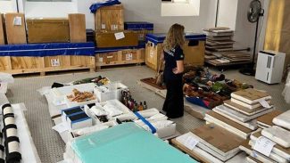 Maior coleção de arte afro-brasileira já repatriada chega ao Muncab