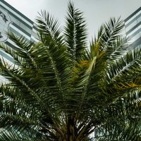 PF adia depoimentos de três investigados no inquérito do Banco Master Imagem referente a PF adia depoimentos de três investigados no inquérito do Banco Master