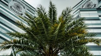 PF adia depoimentos de três investigados no inquérito do Banco Master