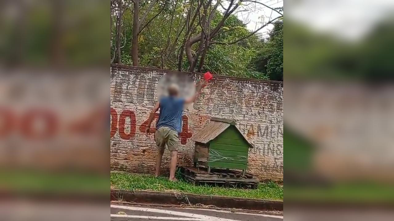 Homem é flagrado jogando fora potes com água e comida para animais de rua em Cascavel Homem é flagrado jogando fora potes com água e comida para animais de rua em Cascavel