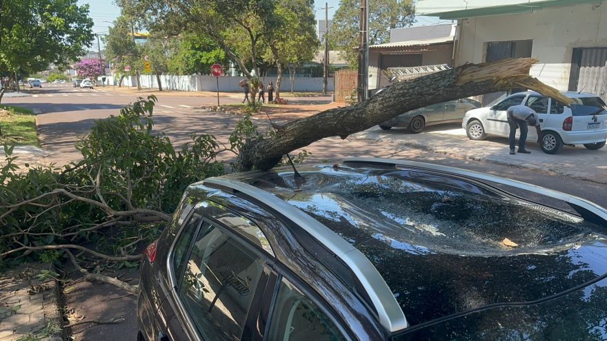 Galho de árvore cai sobre Peugeot 2008 e destrói teto solar no bairro Coqueiral