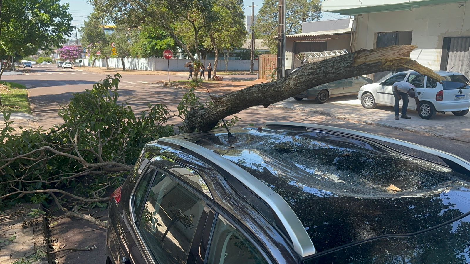 Galho de árvore cai sobre Peugeot 2008 e destrói teto solar no bairro Coqueiral