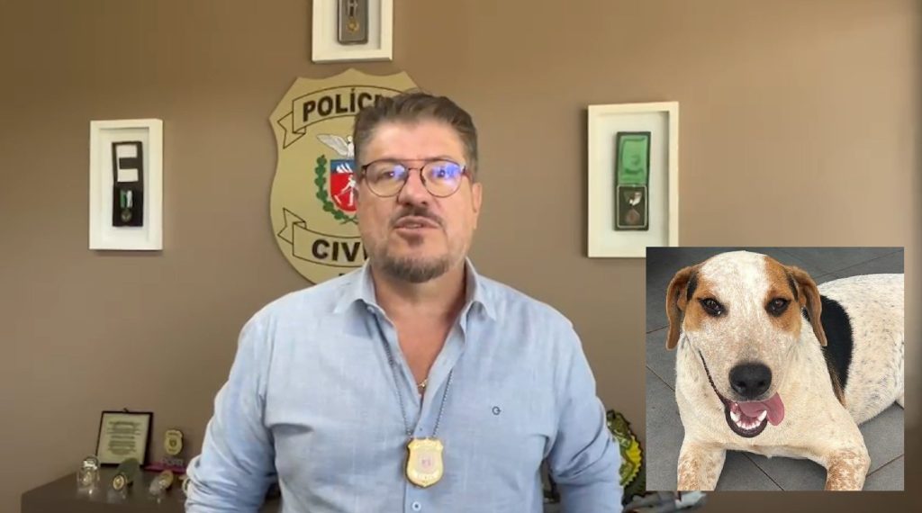 Delegado fala sobre a investigação da morte do cachorro Abacate, em Toledo