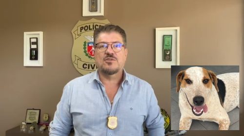 Delegado fala sobre a investigação da morte do cachorro Abacate, em Toledo