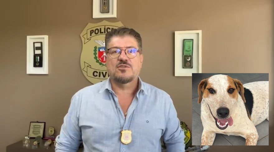 Delegado fala sobre a investigação da morte do cachorro Abacate, em Toledo