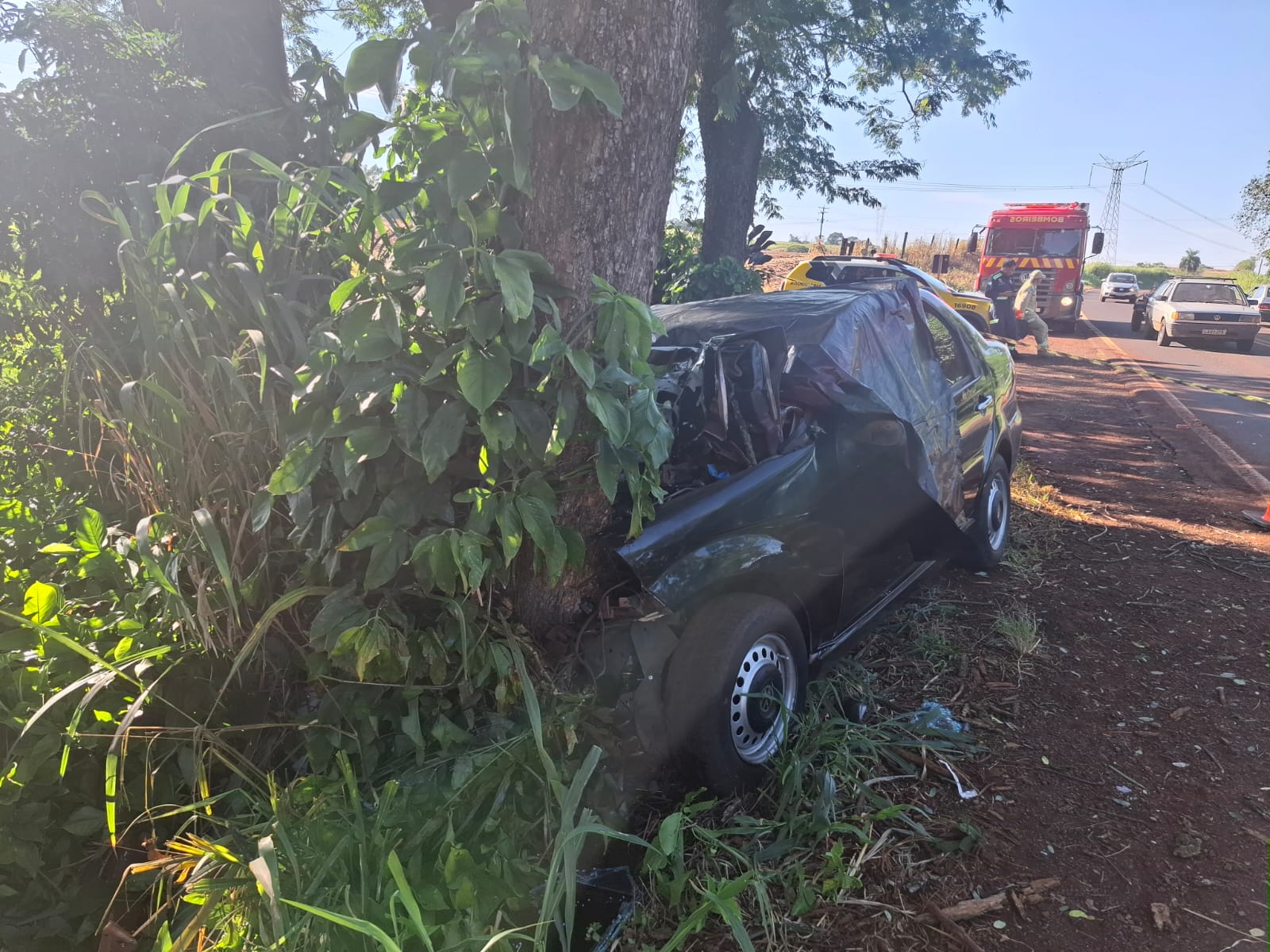 Veículo sai da pista e colide com árvore na PR-497; casal morre no local Imagem referente a Veículo sai da pista e colide com árvore na PR-497; casal morre no local