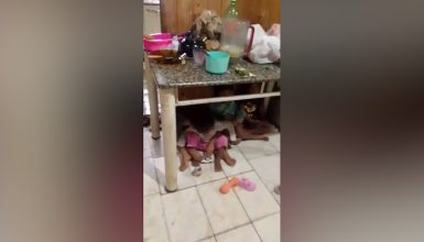 Vídeo: moradora abriga os netos debaixo da mesa para proteger crianças de temporal que inundou casa no Interlagos Imagem referente a Vídeo: moradora abriga os netos debaixo da mesa para proteger crianças de temporal que inundou casa no Interlagos