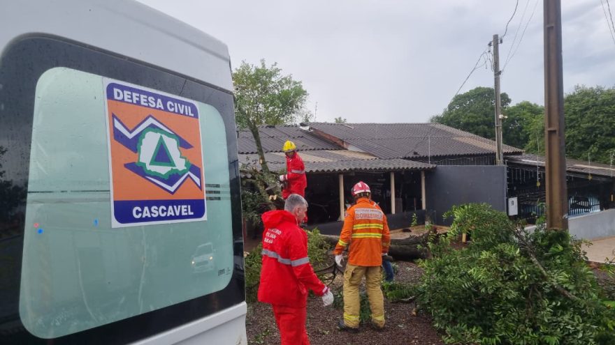 Árvore atinge residência no Bairro Floresta; Defesa Civil e Corpo de Bombeiros são acionados