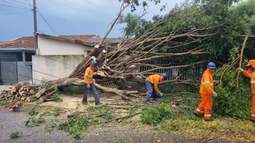 Durante temporal, Cascavel registrou ventos de 54,4 km/h Durante temporal, Cascavel registrou ventos de 54,4 km/h