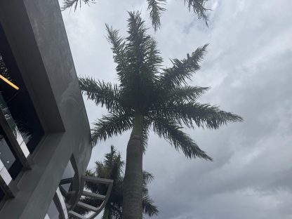 Inmet alerta: risco de temporais em Cascavel vale para esta noite e até quinta-feira (29) Inmet alerta: risco de temporais em Cascavel vale para esta noite e até quinta-feira (29)