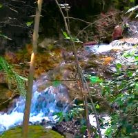 Imagem referente a Prefeitura firma contrato para revitalização do Córrego Bezerra no bairro Santa Cruz