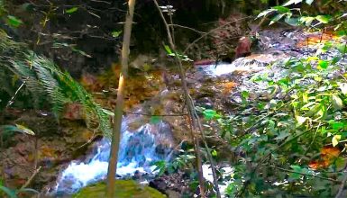 Imagem referente a Prefeitura firma contrato para revitalização do Córrego Bezerra no bairro Santa Cruz