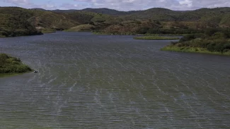 Nível do Rio São Francisco ultrapassa cota de alerta