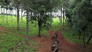 Produção inédita resgata histórico Caminho do Peabiru na TV Brasil