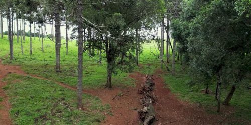 Produção inédita resgata histórico Caminho do Peabiru na TV Brasil Produção inédita resgata histórico Caminho do Peabiru na TV Brasil