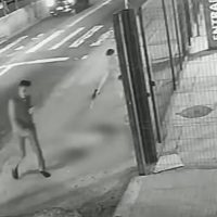 Cachorro é morto com dez tiros em frente a ponto de ônibus em SP Imagem referente a Cachorro é morto com dez tiros em frente a ponto de ônibus em SP