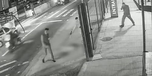 Cachorro é morto com dez tiros em frente a ponto de ônibus em SP Cachorro é morto com dez tiros em frente a ponto de ônibus em SP