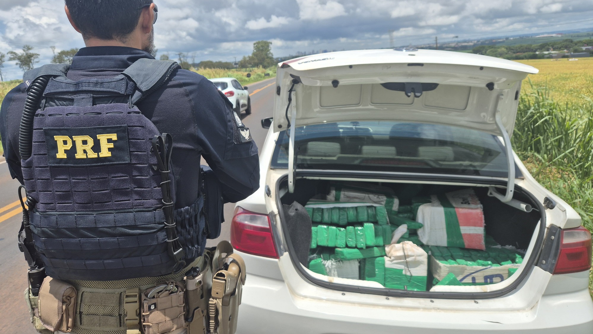 PRF apreende 180 kg de maconha em Arapongas PRF apreende 180 kg de maconha em Arapongas
