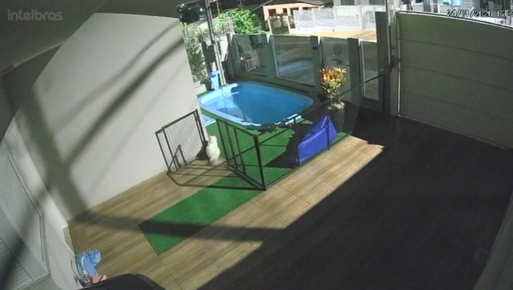 Após tentativa de homicídio, polícia cumpre mandados em Quedas e São João; Ouça os tiros