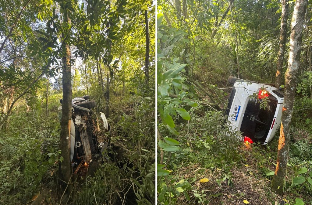 Após colisão, Mobi sai da pista, desce barranco e para escorado em árvore