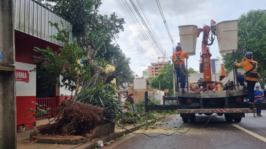 Árvore cai na Rua Recife e deixa quarteirão sem energia