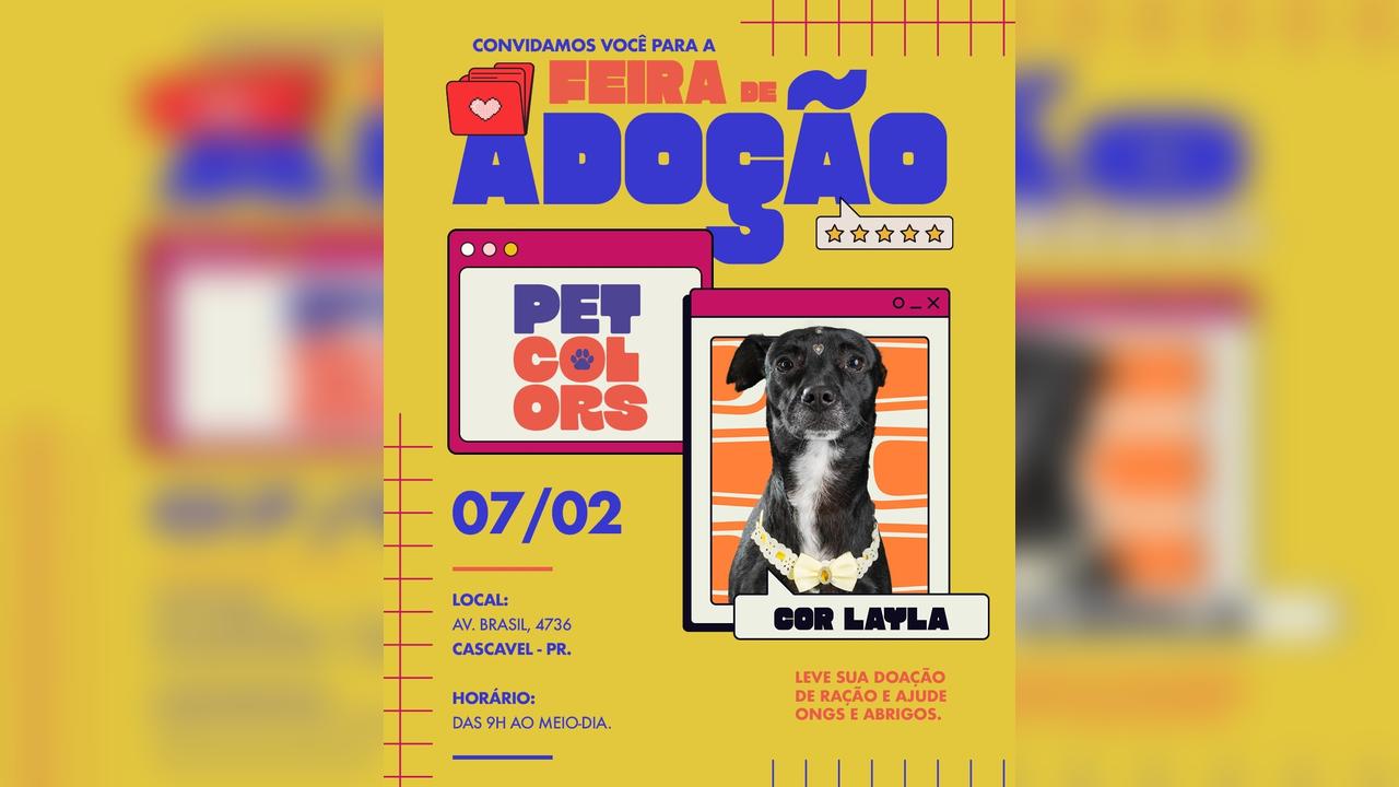 Cascavel recebe Feira de Adoção Pet Colors em parceria com ONGs da cidade