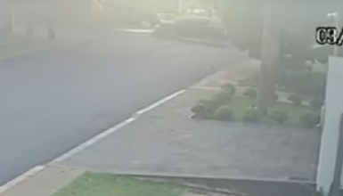 Imagem referente a Nova imagem mostra motociclista sendo arremessada no asfalto após colisão com Amarok