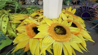 Projeto reaproveita fantasias da Sapucaí para novos foliões