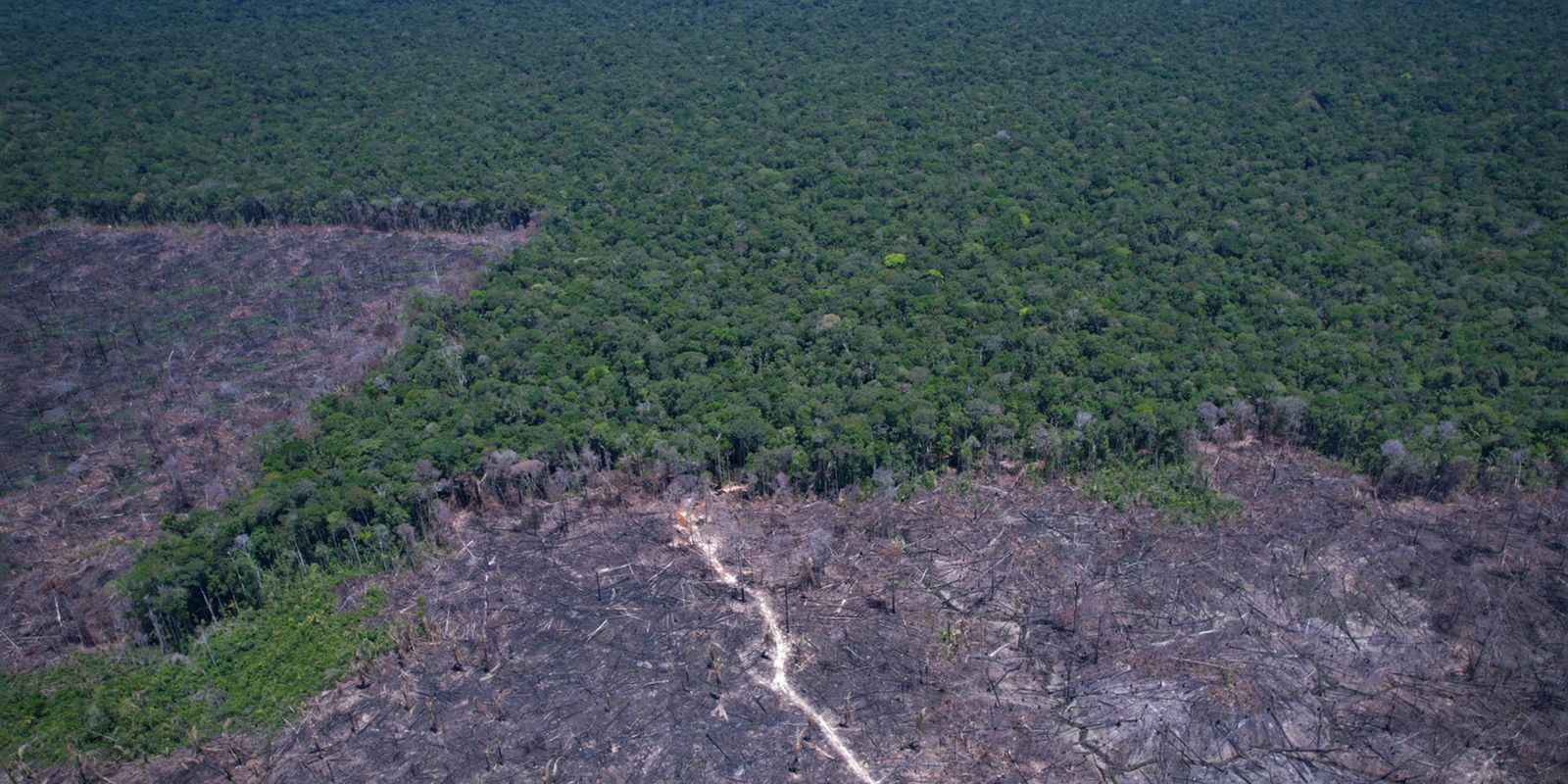 Amazônia Legal: desmatamento prevalece em torno de áreas protegidas Amazônia Legal: desmatamento prevalece em torno de áreas protegidas