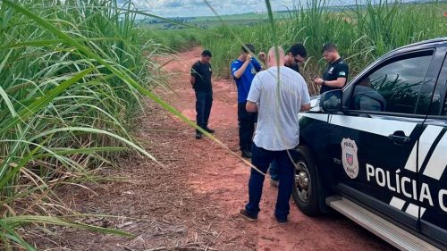 Corpo de homem sequestrado é encontrado em canavial às margens da PR-317