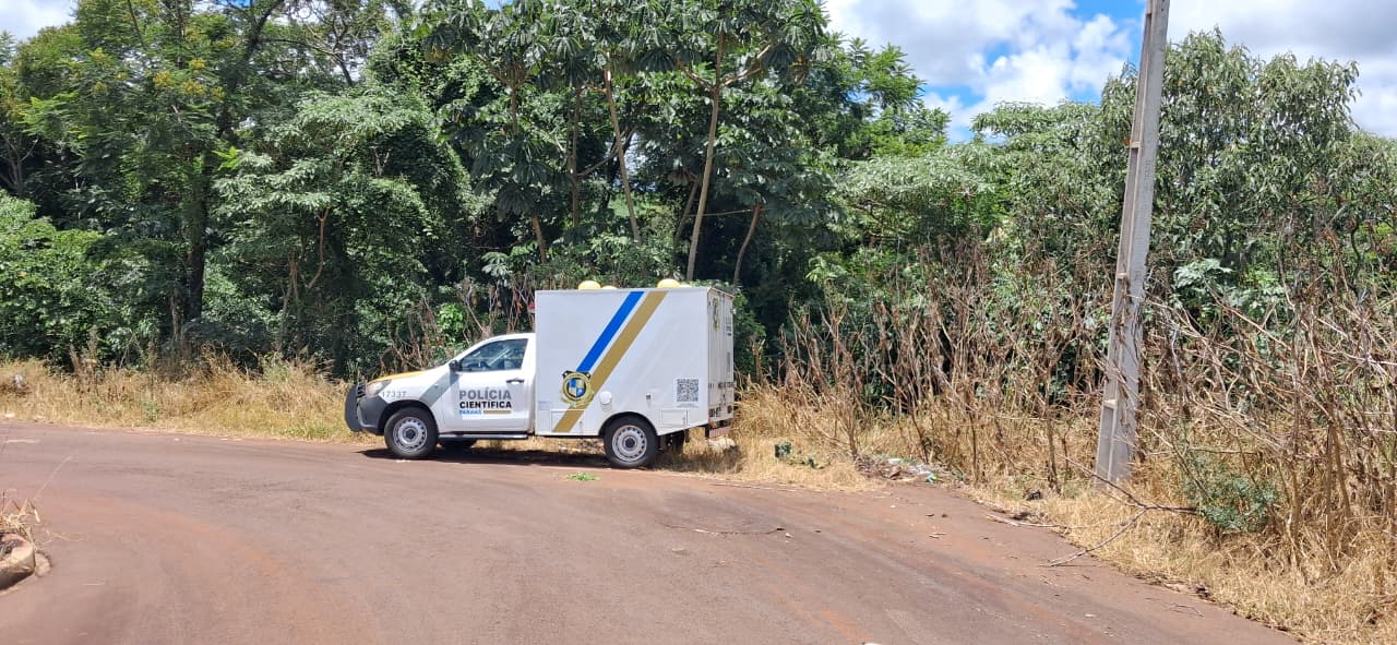 Conforme delegada, Cíntia da Costa foi assassinada a facadas por homem que conheceu em boate Conforme delegada, Cíntia da Costa foi assassinada a facadas por homem que conheceu em boate