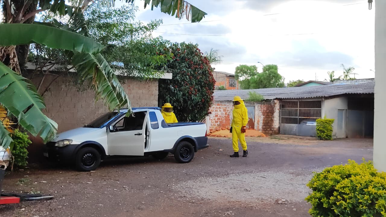 Enxame de abelhas ataca criança e homem no Bairro Universitário Enxame de abelhas ataca criança e homem no Bairro Universitário