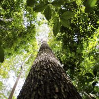 Imagem referente a Cascavel amplia atuação no licenciamento ambiental após atualização de certificação do IAT