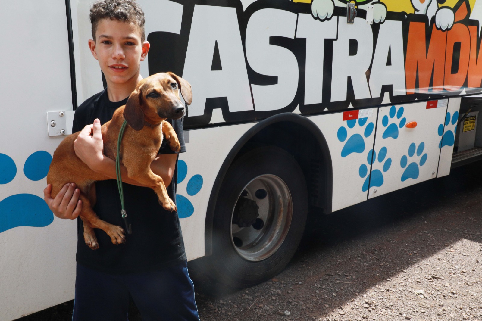 Castramóvel chega ao XIV de Novembro e oferece 80 castrações grátis a pets