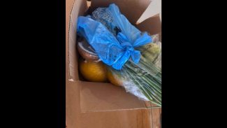 Imagem referente a Caixa com compras é encontrada no bairro Periolo