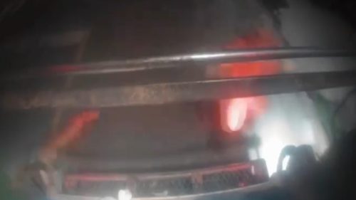 Vídeo flagra ataque de pit bull a coletores de recicláveis; Tutor é responsabilizado