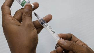 Covid-19 mata 29 pessoas em janeiro no Brasil Covid-19 mata 29 pessoas em janeiro no Brasil