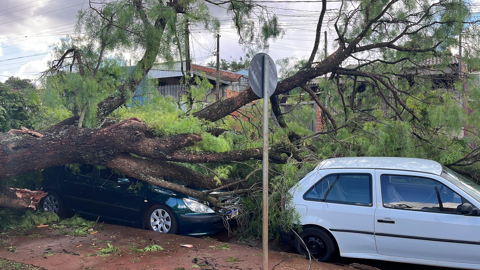 Árvore cai sobre carros estacionados na Rua Café Filho, no Jardim Veneza Árvore cai sobre carros estacionados na Rua Café Filho, no Jardim Veneza