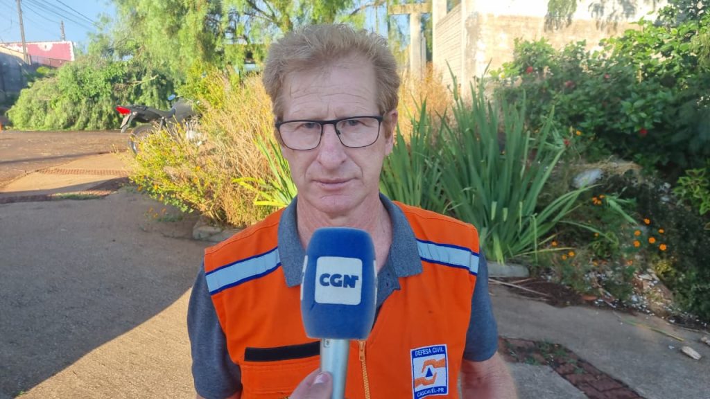 Coordenador detalha atuação da Defesa Civil após queda de árvore sobre veículos