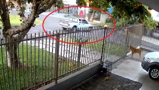 Câmera flagra momento em que caminhonete destrói entrada de casa e foge no Bairro Brasília