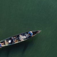 Imagem referente a Ministério da Pesca cancela mais de 76 mil licenças de pescadores